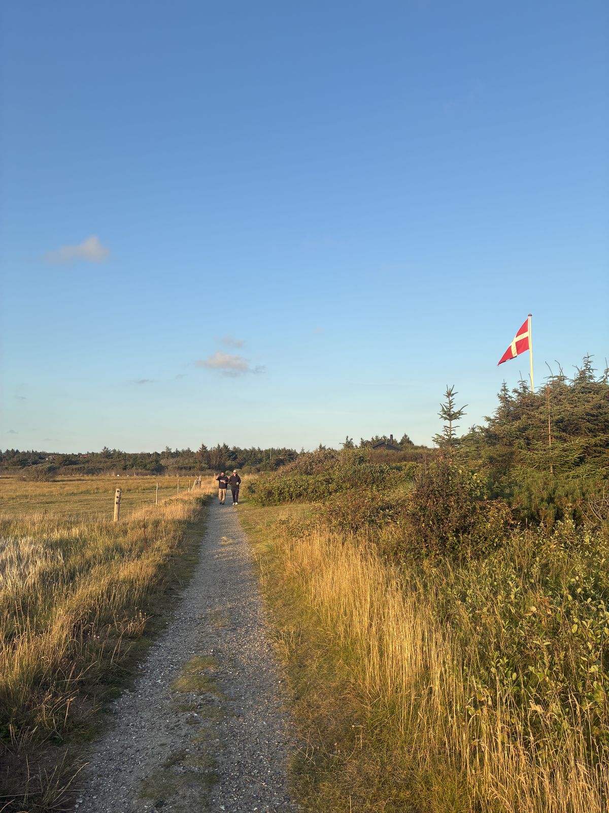 Sandtrail mit d&auml;nischer Flagge